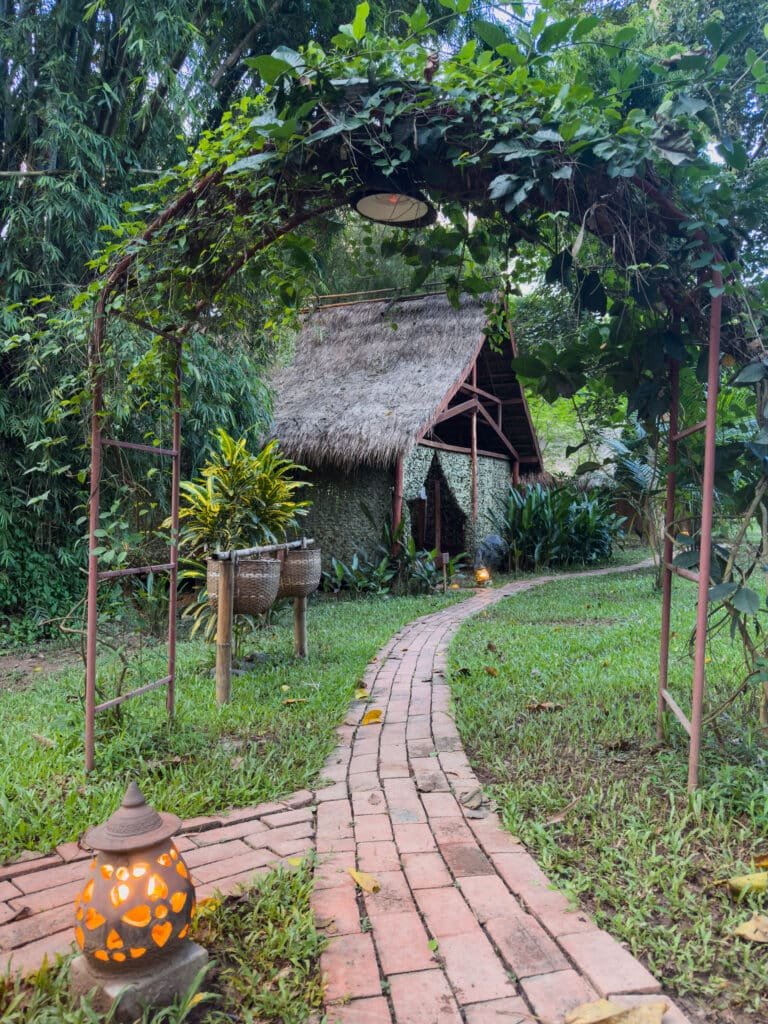 Glamping tents from the outside
