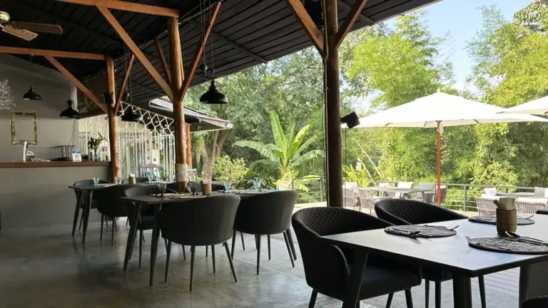 Roots Restaurant terrace
